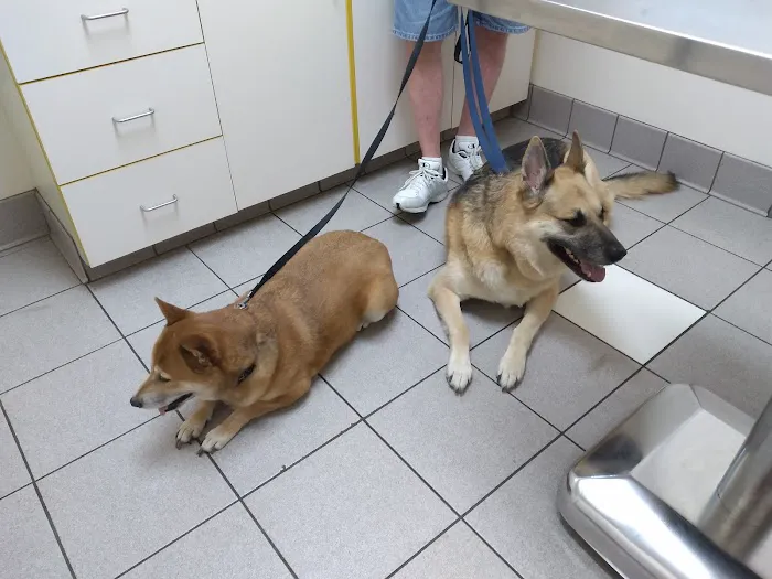 Rivers Veterinary Urgent Care 9