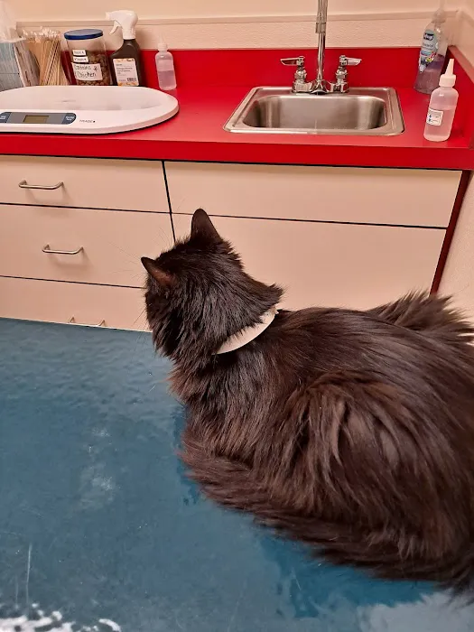 Rivers Veterinary Urgent Care 5