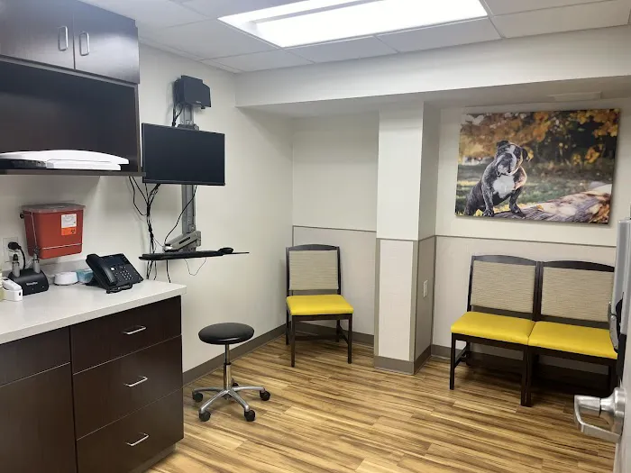 VCA Castle Shannon Animal Hospital 4