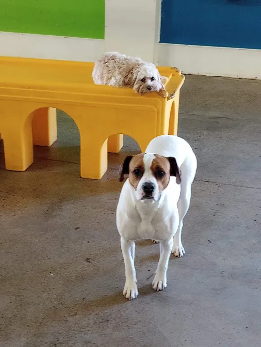 The Big Easy Animal Hospital 4
