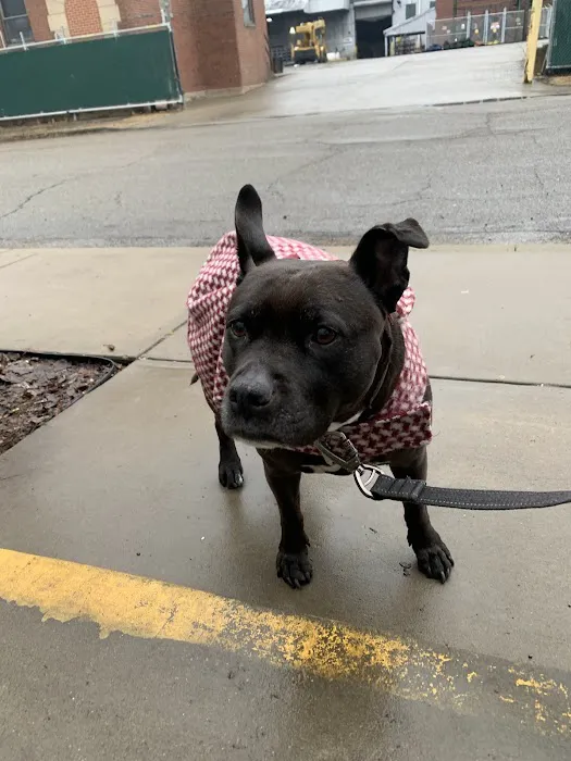 The Big Easy Animal Hospital 5