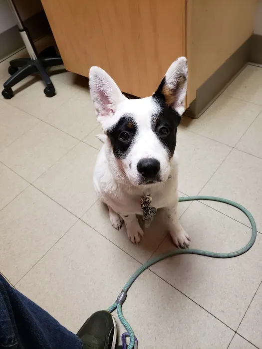 The Big Easy Animal Hospital 9