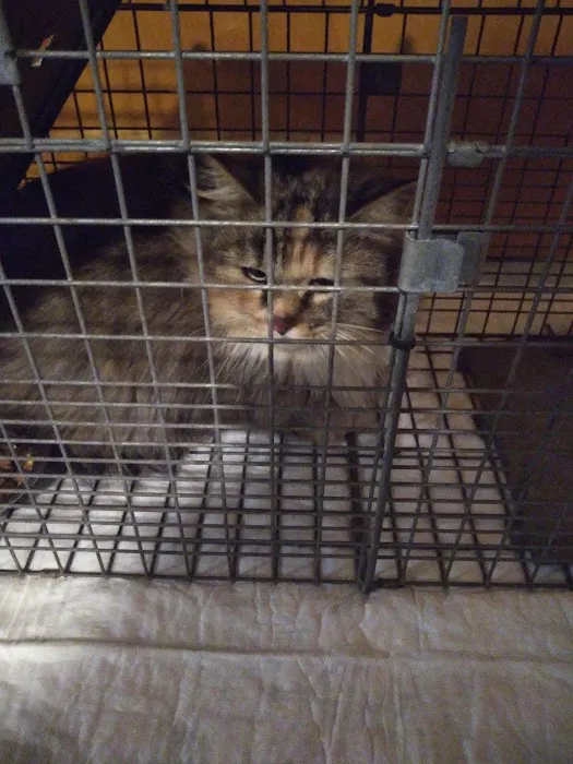 Middle Road Animal Clinic, LLC 4
