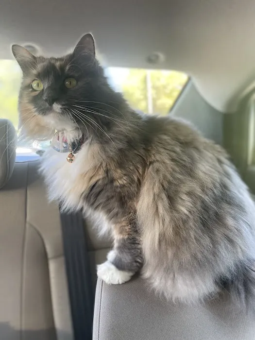 Middle Road Animal Clinic, LLC 10