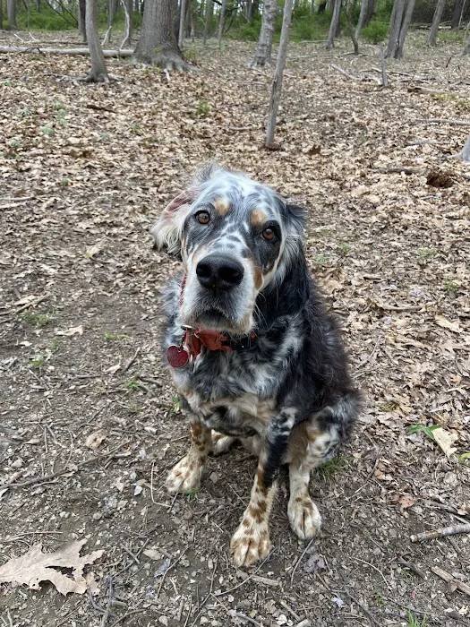 Middle Road Animal Clinic, LLC 7