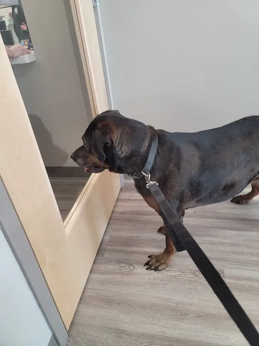 Lawrenceville Veterinary Clinic 7