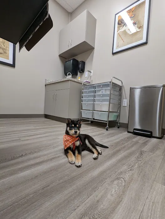 Lawrenceville Veterinary Clinic 3