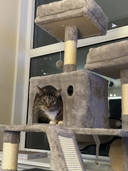 South Side Flats Animal Hospital 3