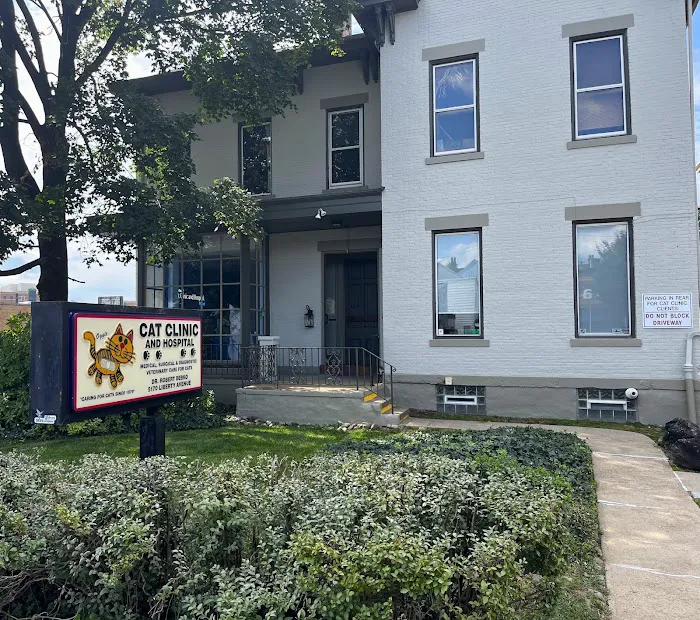 Cat Clinic and Hospital 7