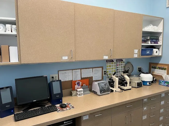 Cat Clinic and Hospital 6