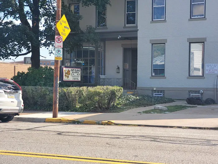 Cat Clinic and Hospital 3