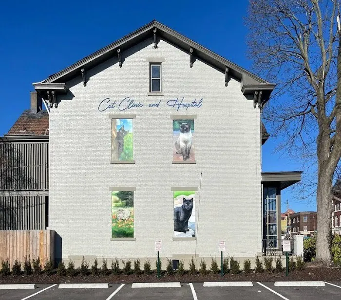 Cat Clinic and Hospital 5
