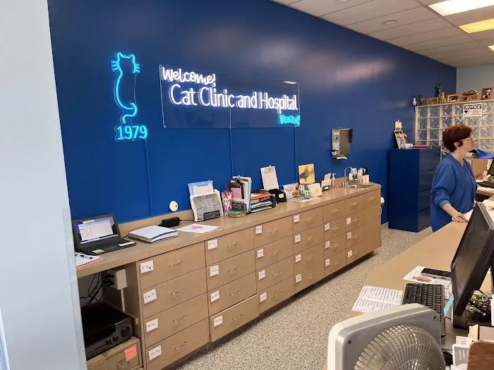 Cat Clinic and Hospital 4