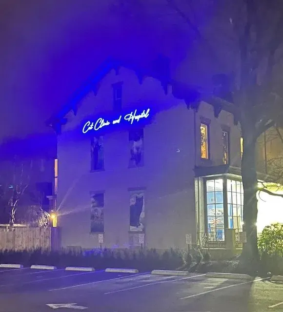 Cat Clinic and Hospital 8