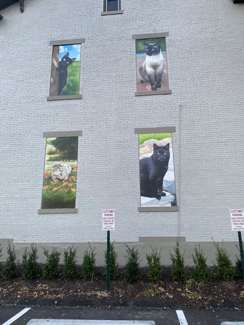 Cat Clinic and Hospital 1