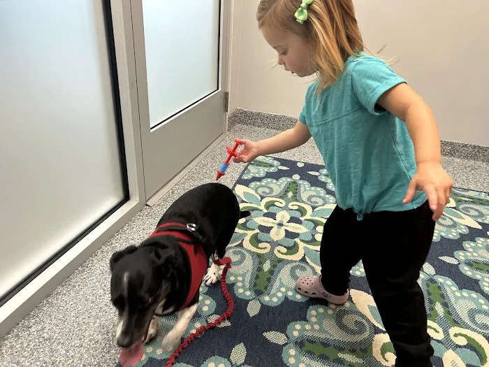 PetVet365 Pet Hospital Pittsburgh/Shadyside at the Junction 7