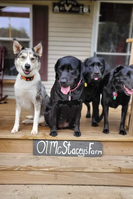 Orchard Creek Veterinary Hospital 6