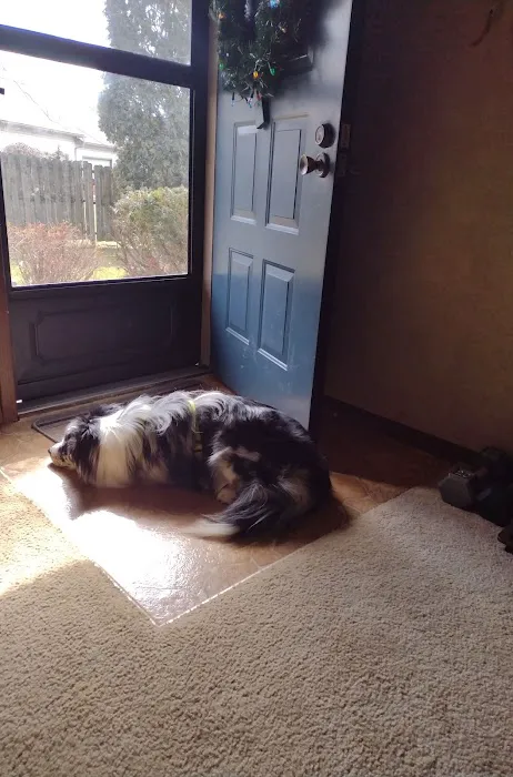 Orchard Creek Veterinary Hospital 2