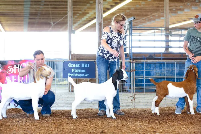 Muddy Creek Animal Clinic, LLC 5
