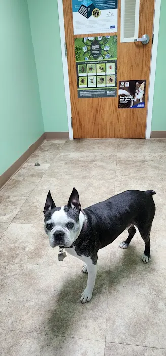 Muddy Creek Animal Clinic, LLC 2