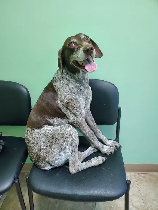 Muddy Creek Animal Clinic, LLC 9
