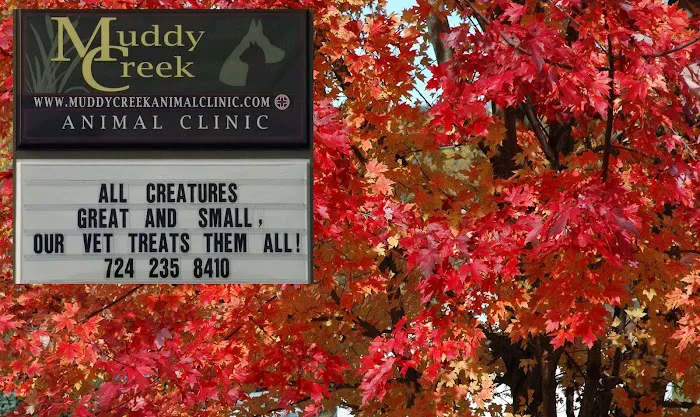 Muddy Creek Animal Clinic, LLC 10