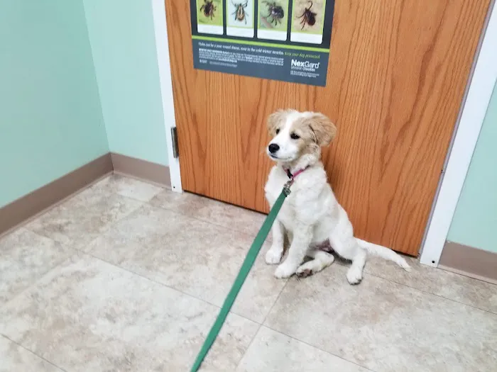Muddy Creek Animal Clinic, LLC 1