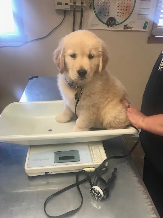 Crossroads Veterinary Hospital 1