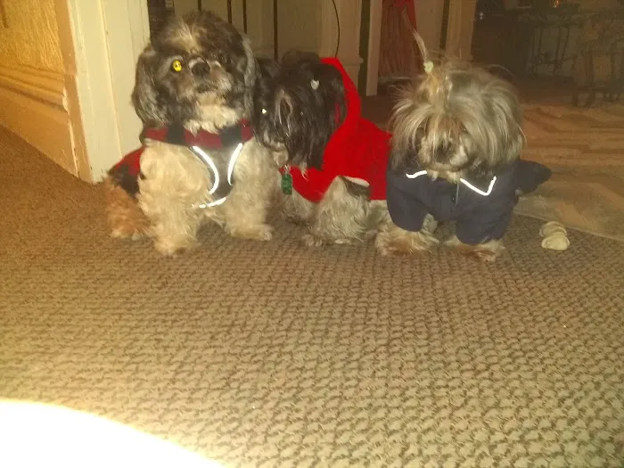 Crossroads Veterinary Hospital 6