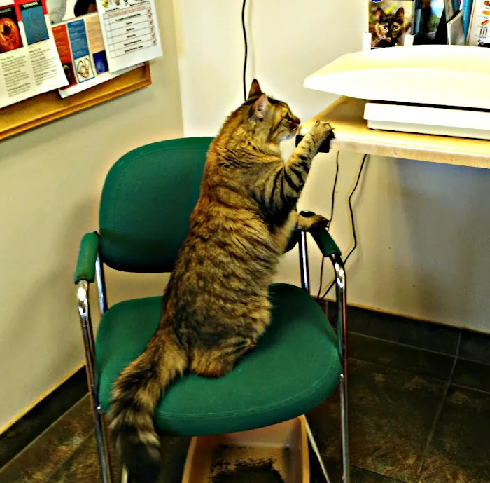 Crossroads Veterinary Hospital 8