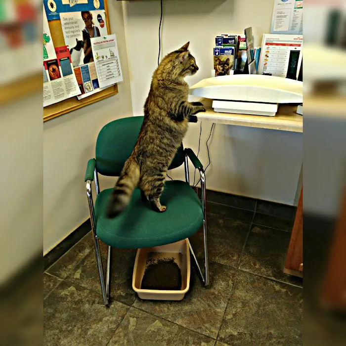 Crossroads Veterinary Hospital 7