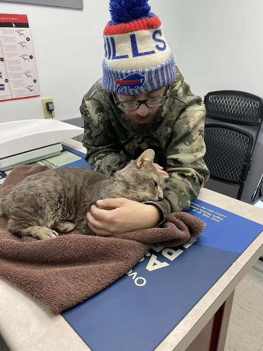 Deer Creek Animal Hospital 2