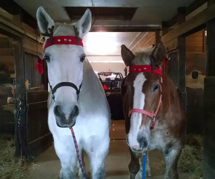 Harmony Equine Veterinary Services, P.c. 3