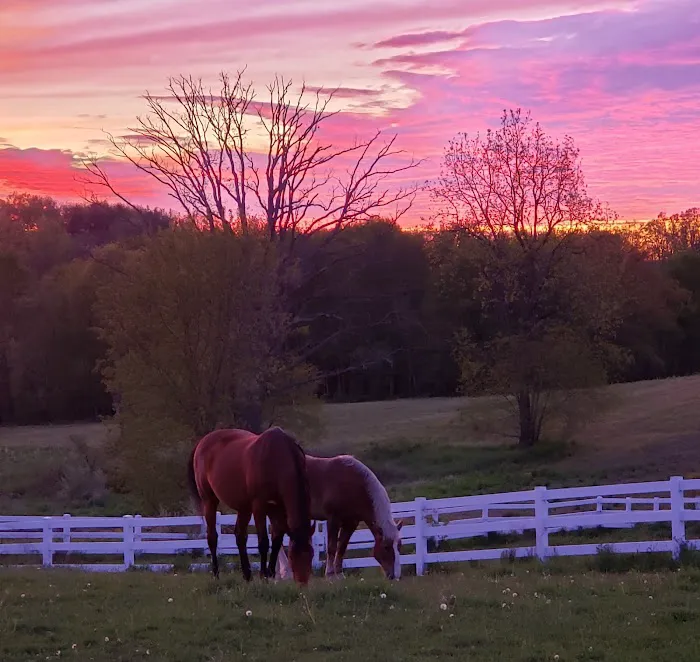Harmony Equine Veterinary Services, P.c. 2