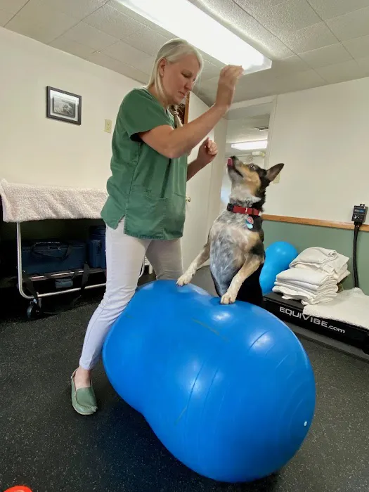 Twinbrook Animal Clinic, Inc. 3