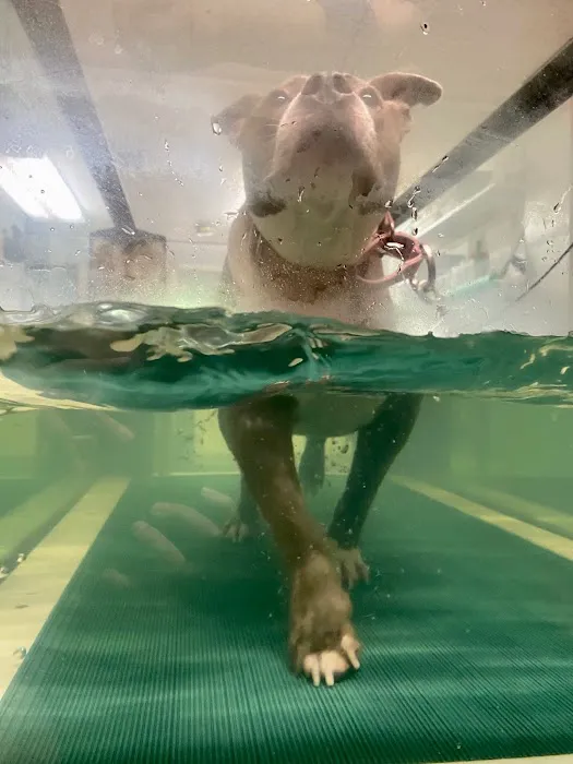 Twinbrook Animal Clinic, Inc. 9