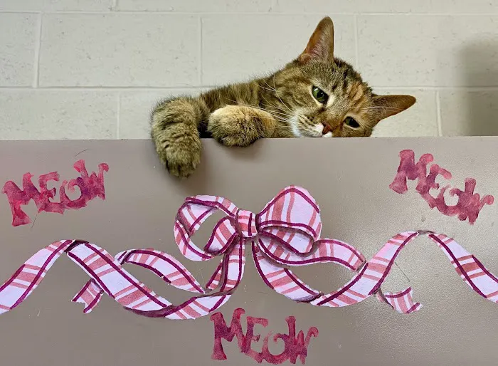 Twinbrook Animal Clinic, Inc. 4