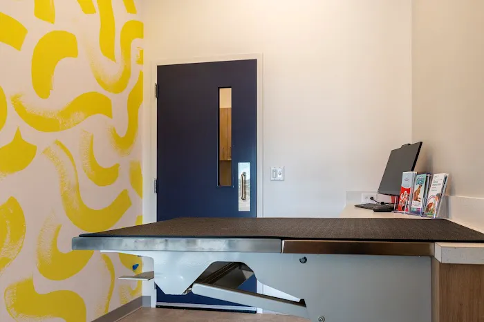 Animal Hospital of Valencia 5
