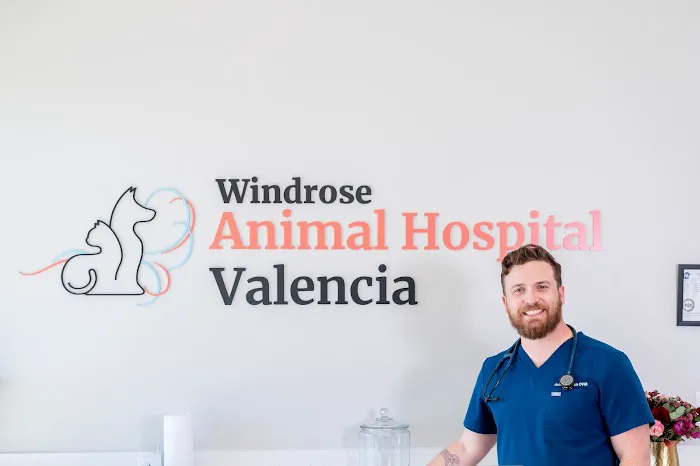 Animal Hospital of Valencia 8