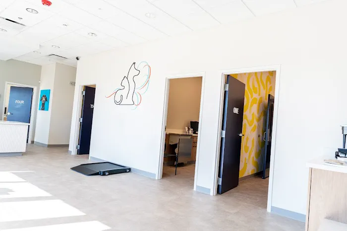 Animal Hospital of Valencia 7