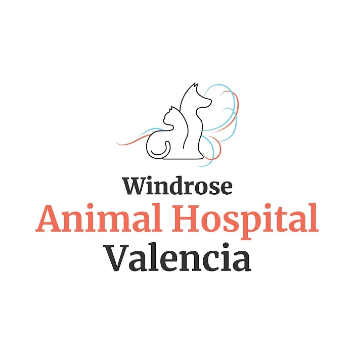 Animal Hospital of Valencia 9
