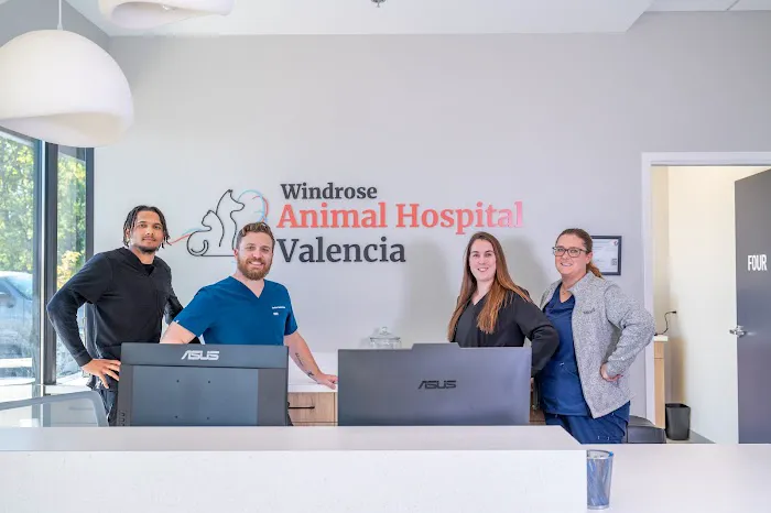 Animal Hospital of Valencia 6
