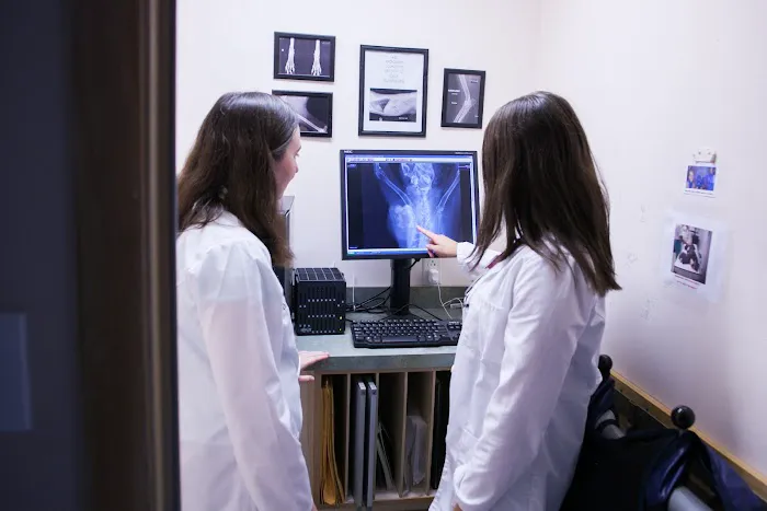 VCA Bakerstown Animal Hospital 3