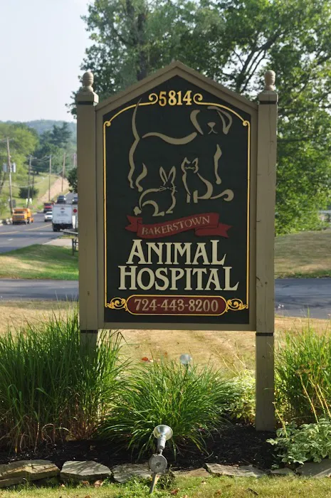VCA Bakerstown Animal Hospital 9