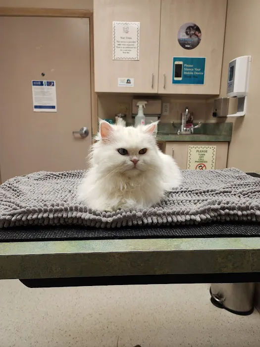 VCA Bakerstown Animal Hospital 4