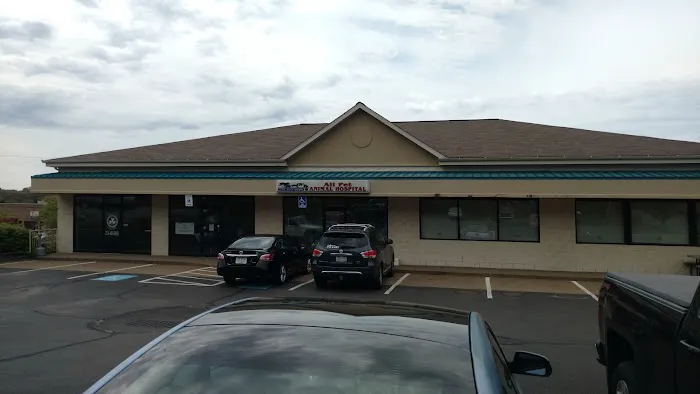 All Pet Animal Hospital 1