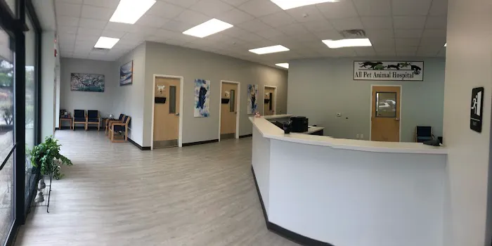 All Pet Animal Hospital 2