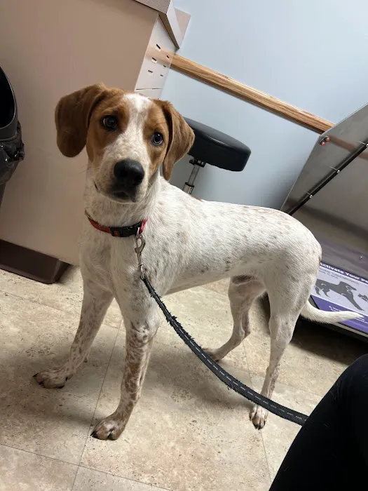 Camboro Veterinary Hospital 1
