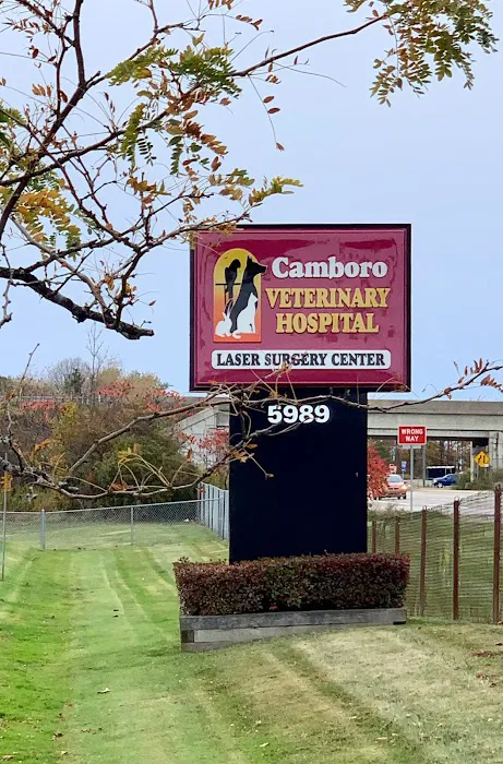 Camboro Veterinary Hospital 10