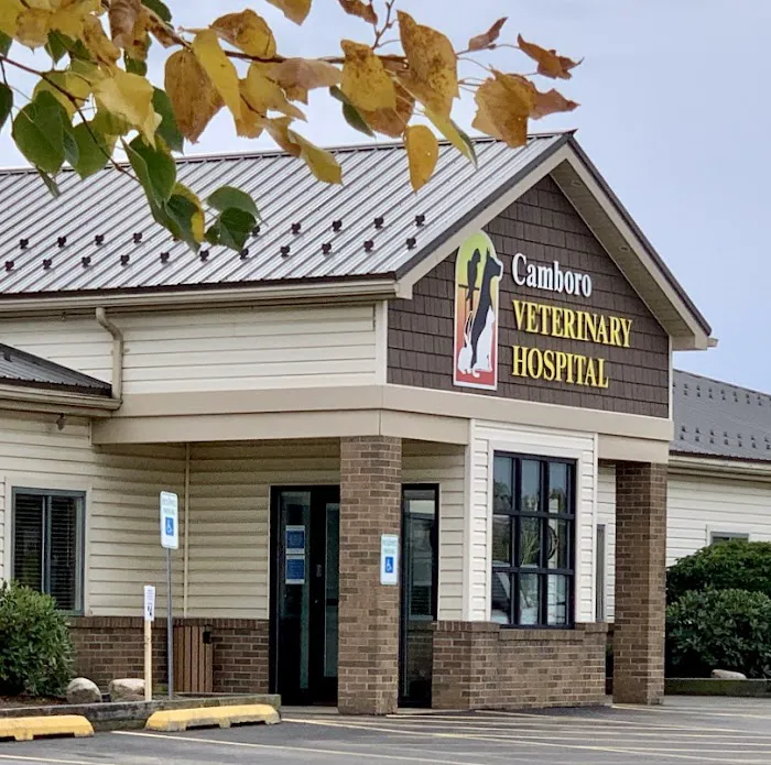 Camboro Veterinary Hospital 5